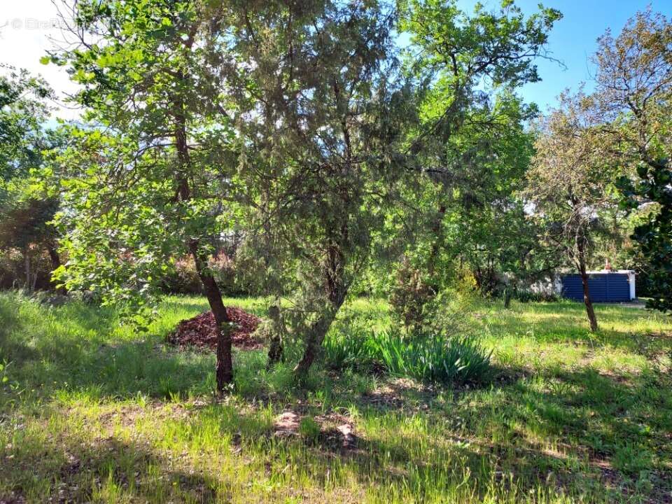 Terrain à LE CANNET-DES-MAURES
