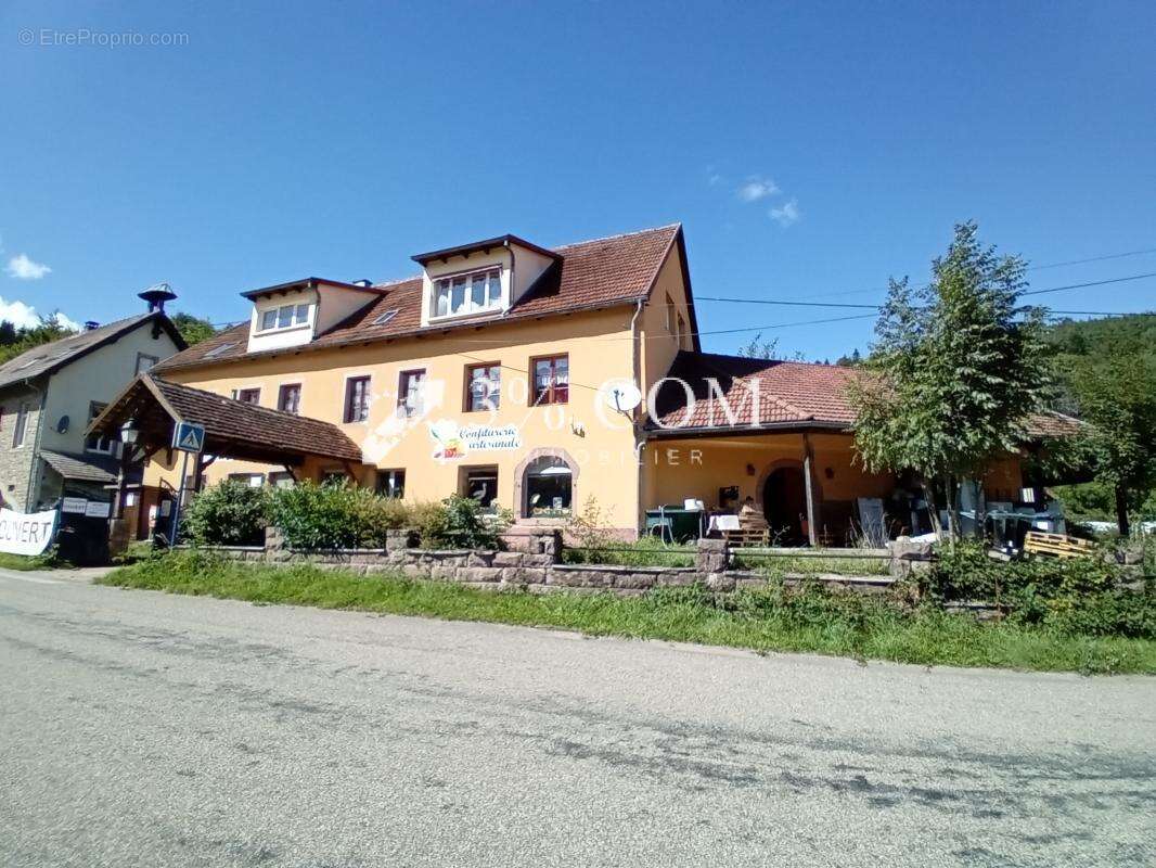 Immeuble professionnel avec appartement de fonction - photo 4