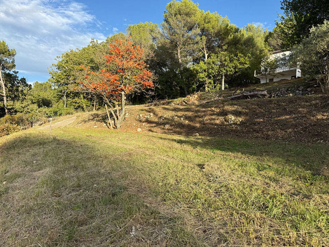 Terrain à LA ROQUE-D&#039;ANTHERON
