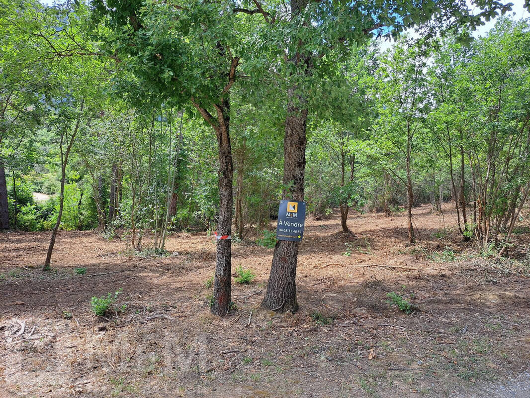 Terrain à BELVIANES-ET-CAVIRAC