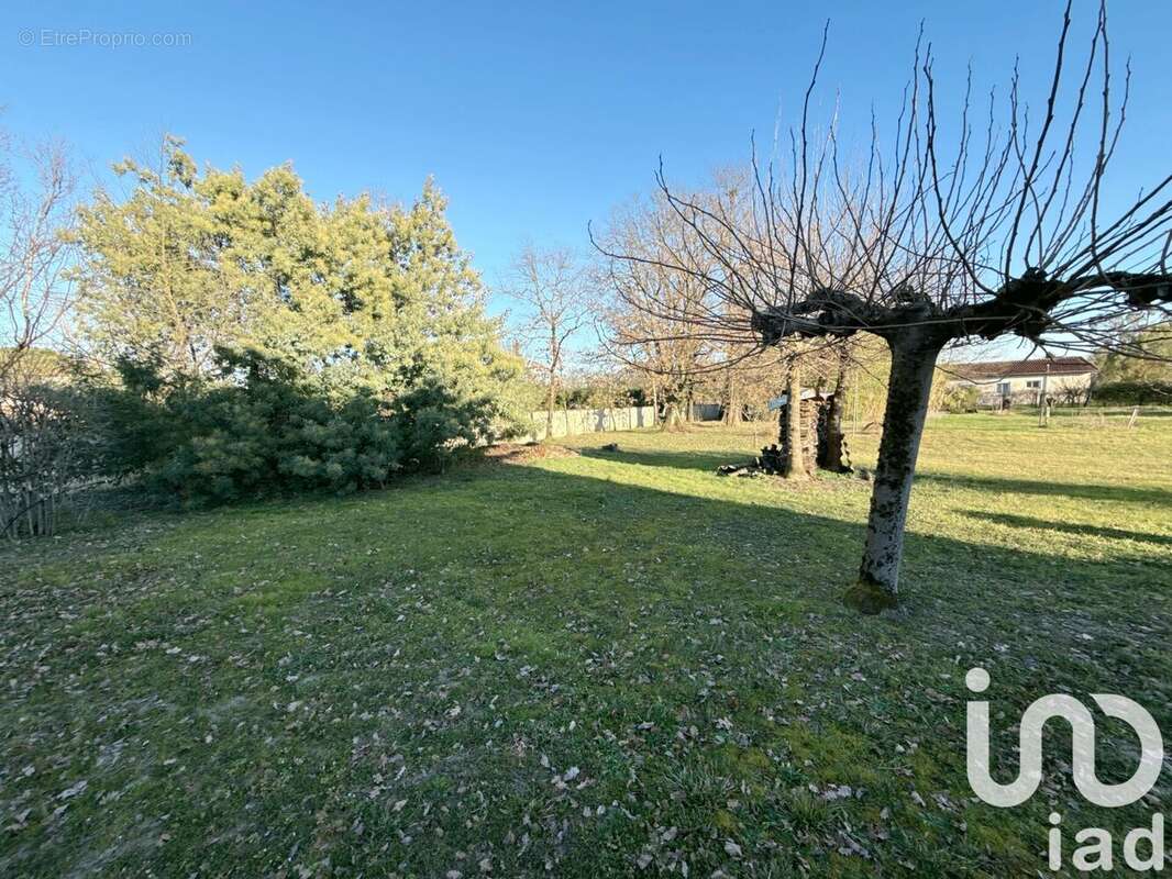 Photo 2 - Terrain à MONTAUBAN