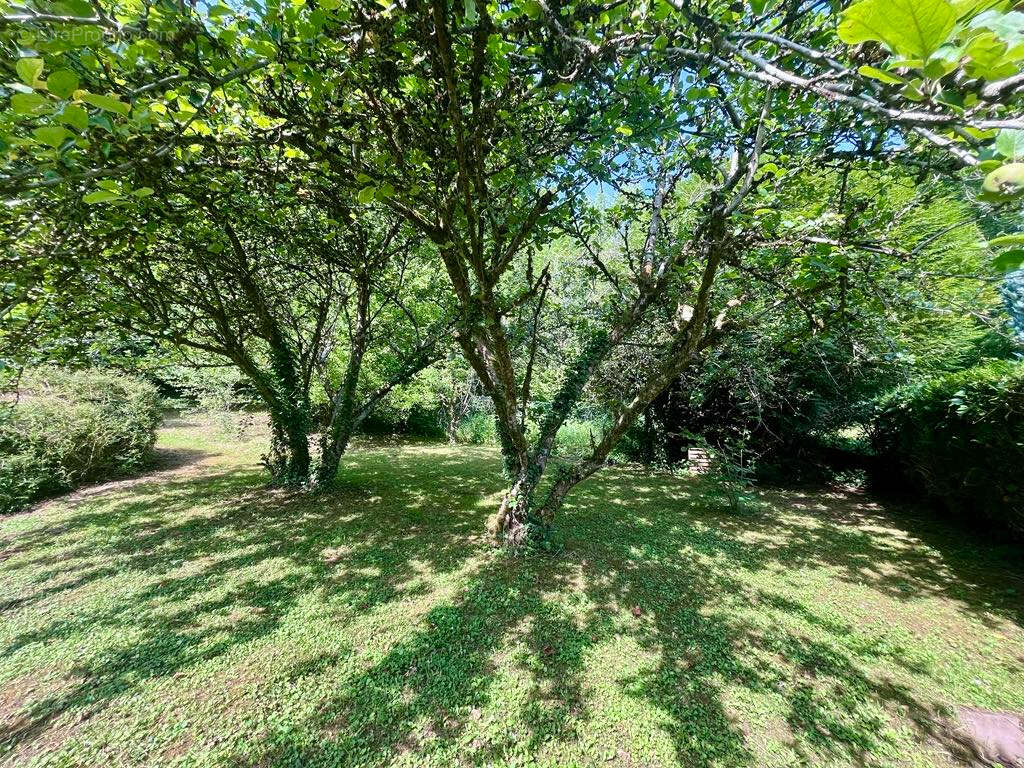 Maison à VILLERS-COTTERETS