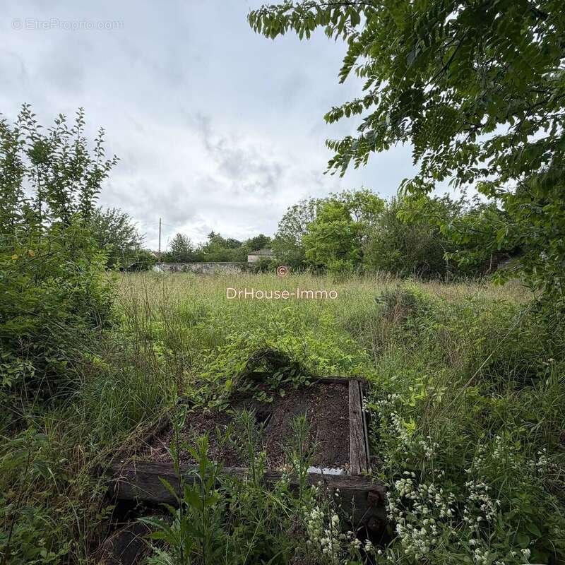 Terrain 980 m² à vendre à Limay (78520) - photo 15