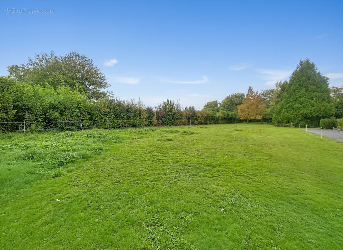 Terrain à SAINTE-MARIE