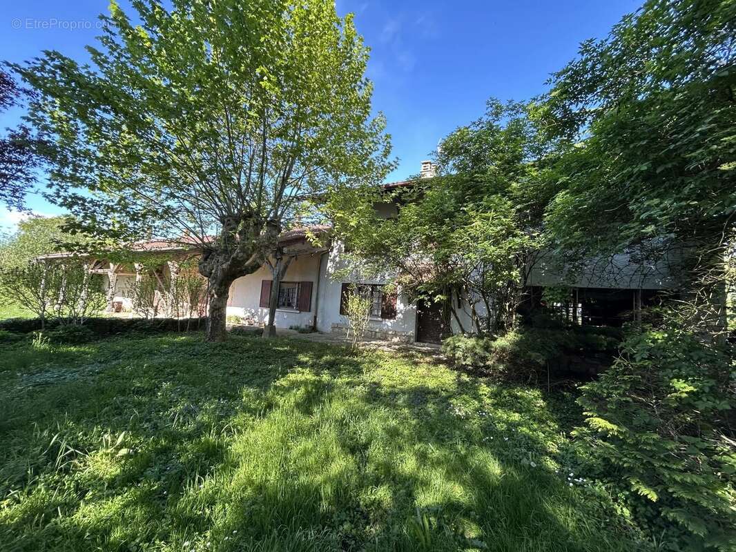 Maison à CONDEISSIAT