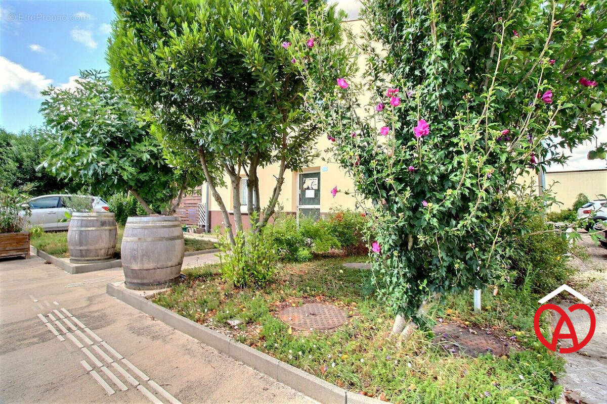 Commerce à BERGHEIM