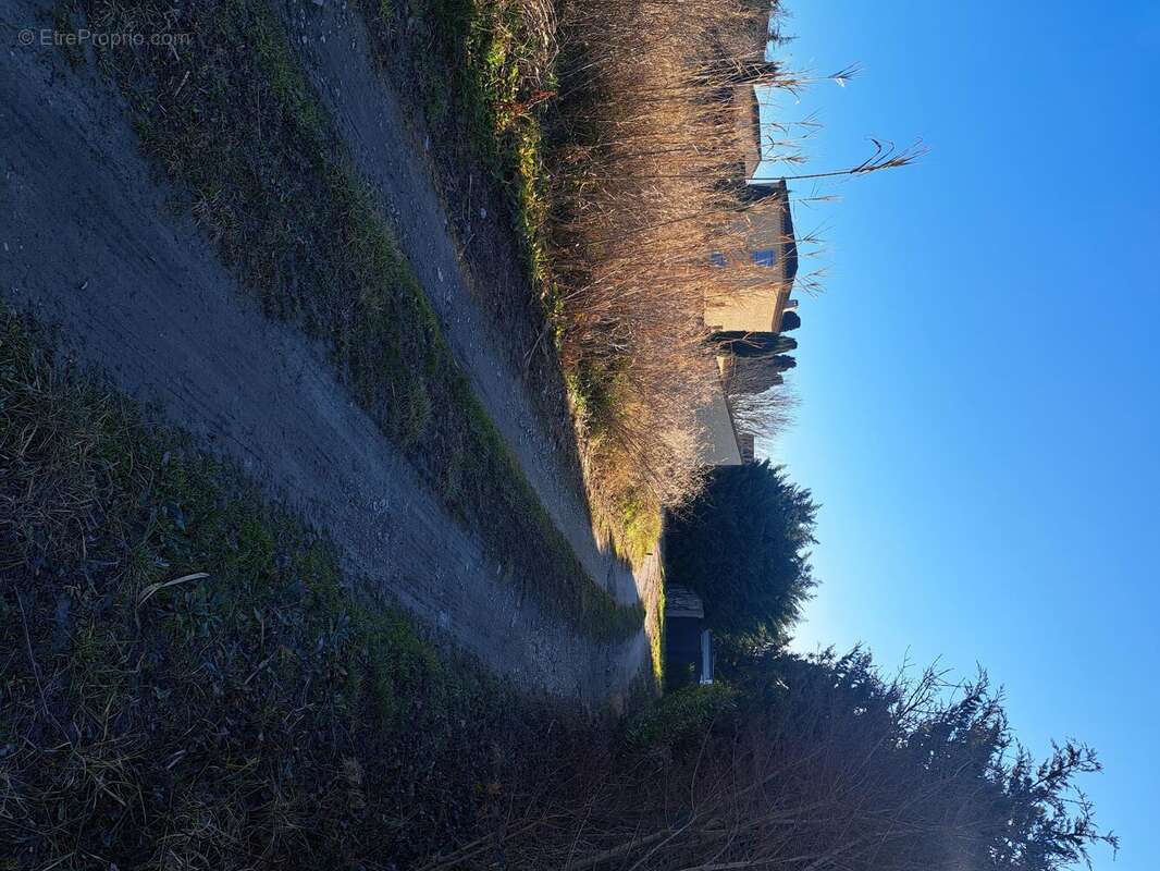 Photo 5 - Terrain à VELLERON