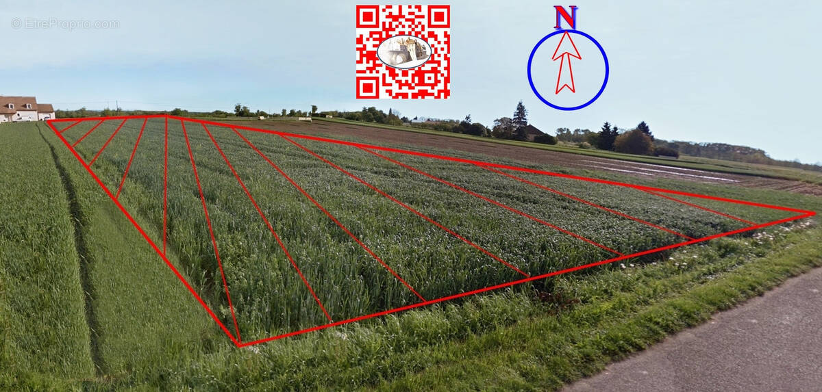 Terrain à VERDUN-SUR-LE-DOUBS