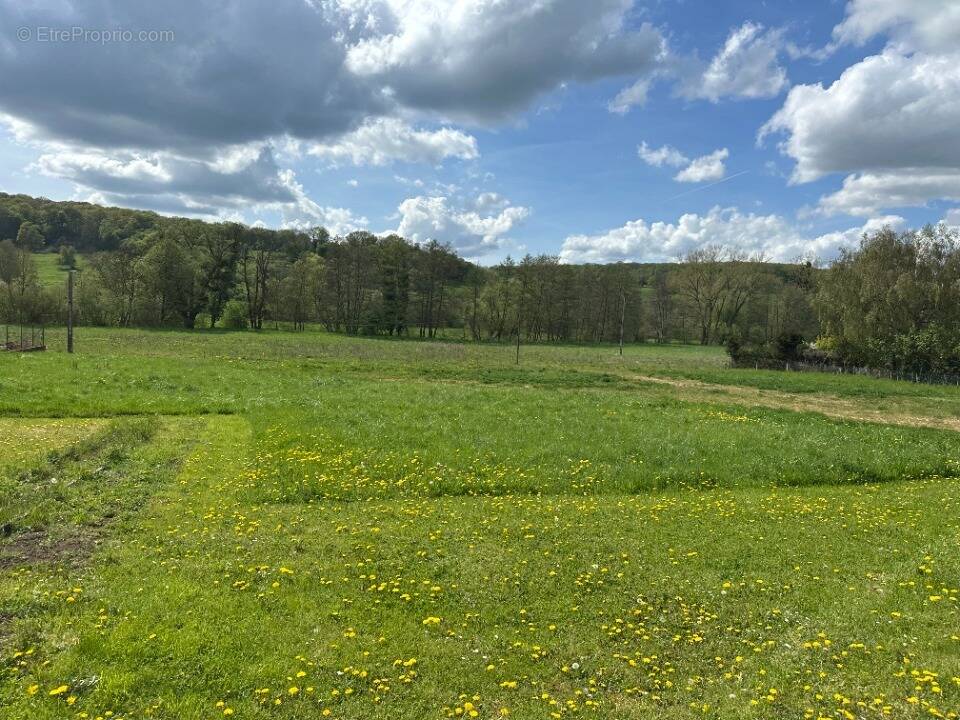 Terrain à INGLANGE