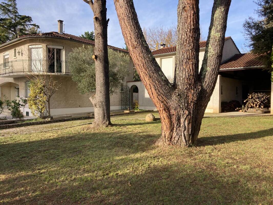 Photo 1 - Maison à CASTRES