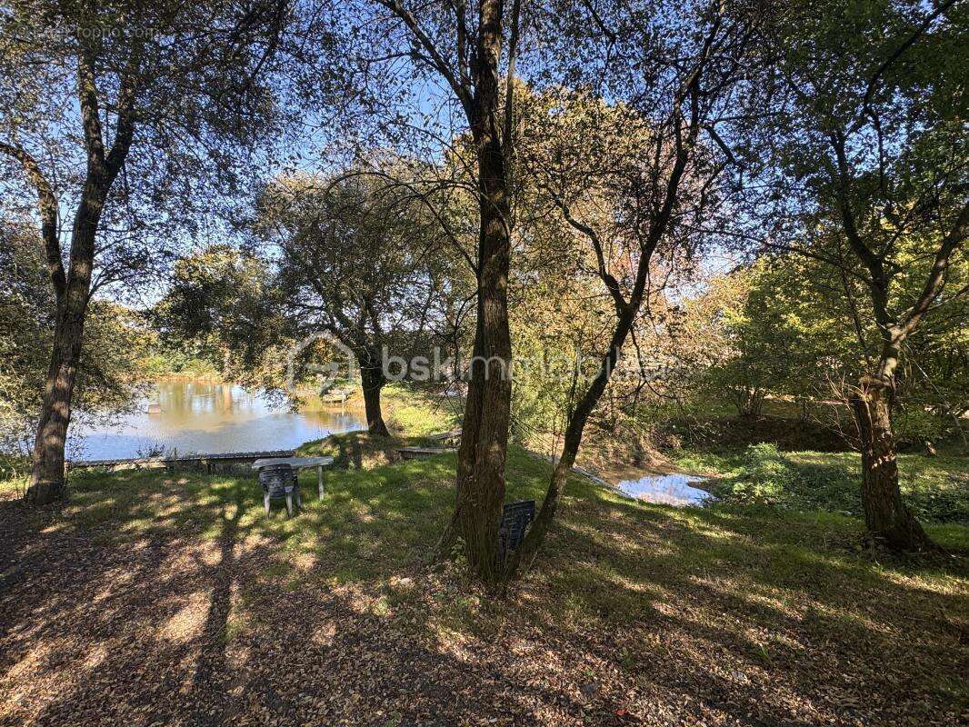 Terrain à SAINT-PIERRE-LA-COUR