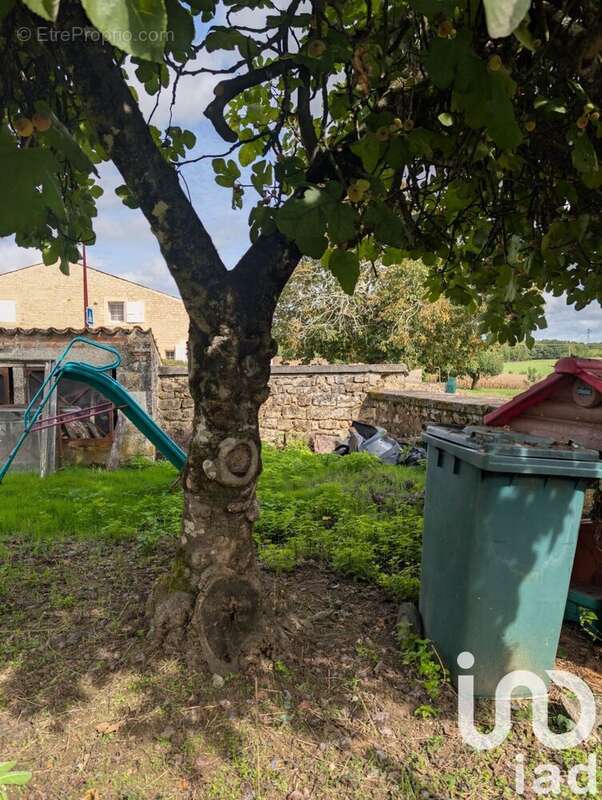 Photo 4 - Terrain à TAILLANT