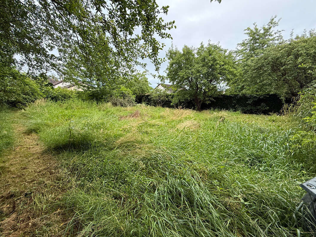 Terrain à SAINT-GERMAIN-DU-CORBEIS
