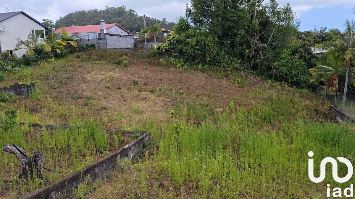 Photo 1 - Terrain à LE TAMPON