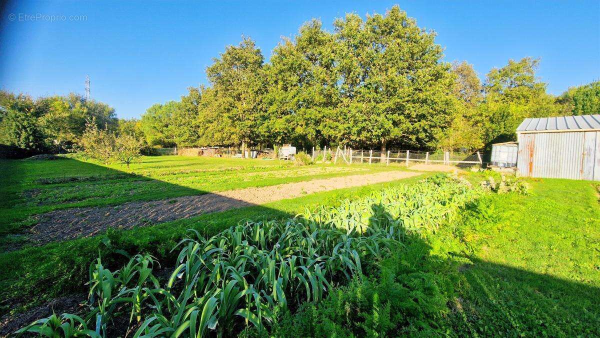 Maison à SAINT-VIAUD