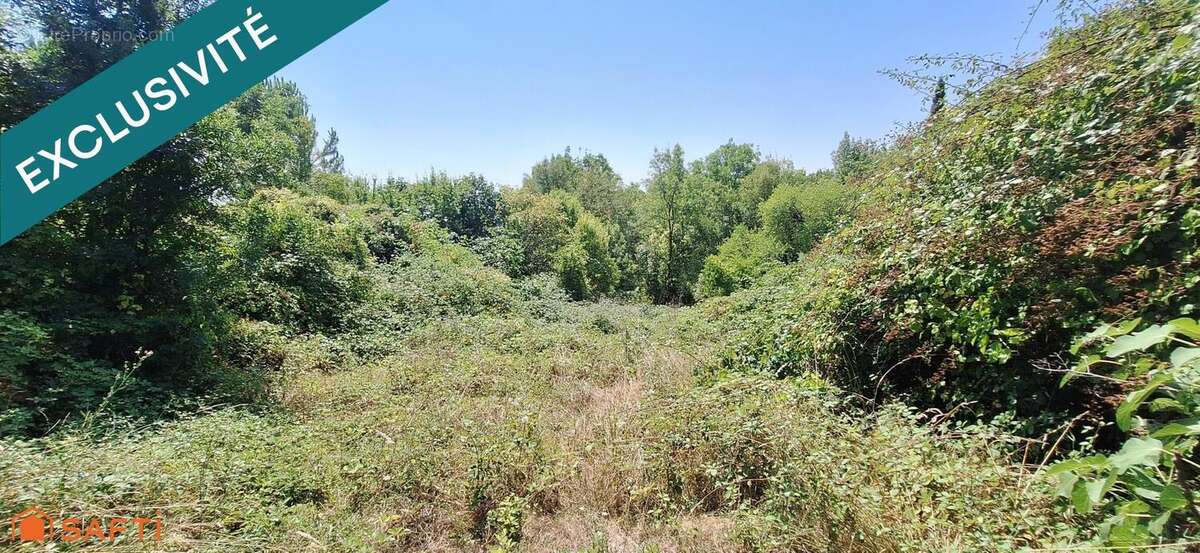 Photo 6 - Maison à BLAYE-LES-MINES