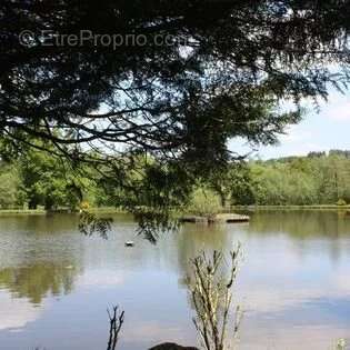 Maison idyllique au bord d'un lac avec gîtes - Haute Vienne - photo 4