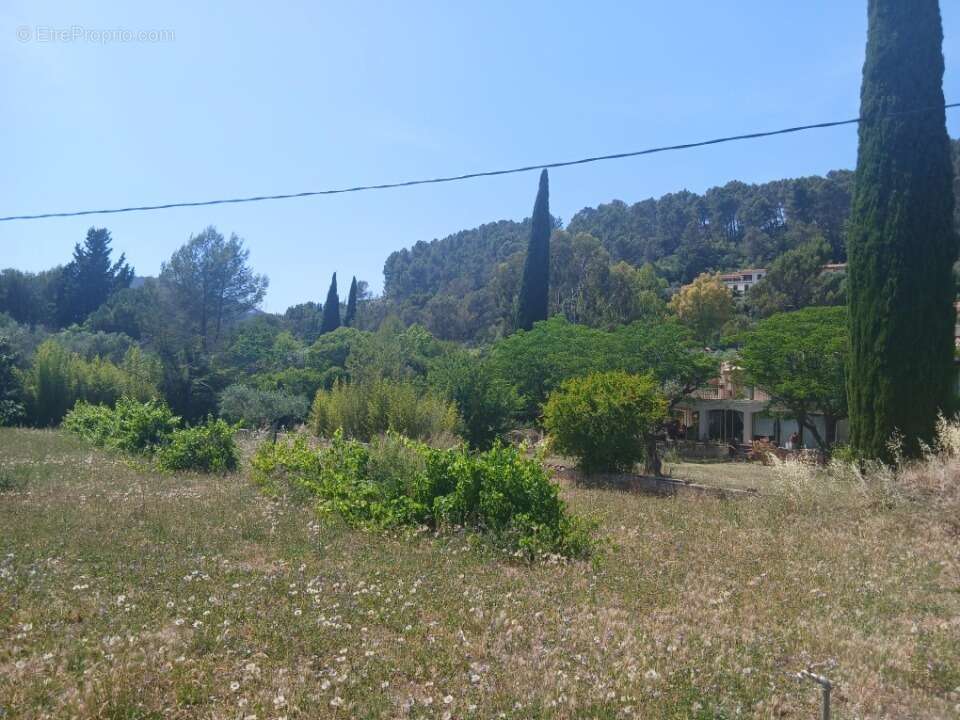 Terrain 501 m² à Sollies-Pont  - photo 4