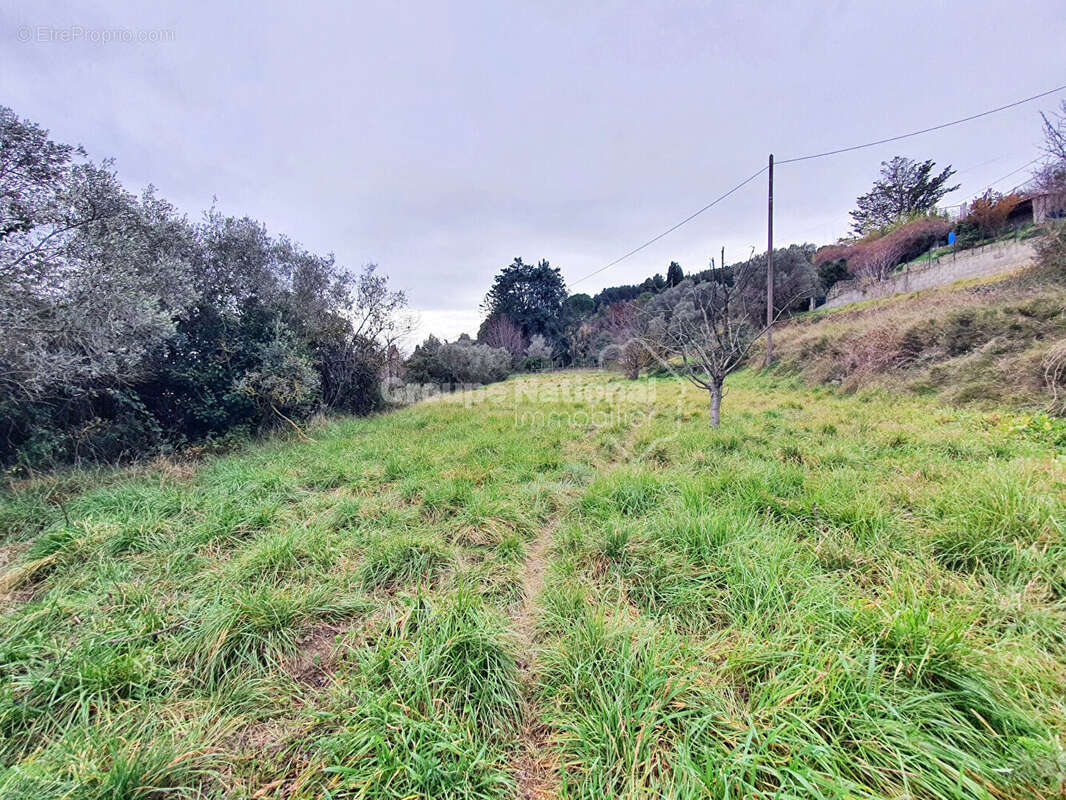 Terrain à SAINT-CHAMAS