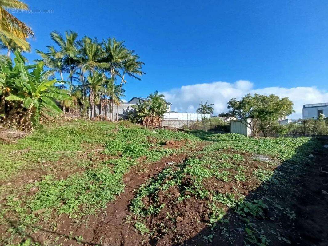 Terrain à LE TAMPON