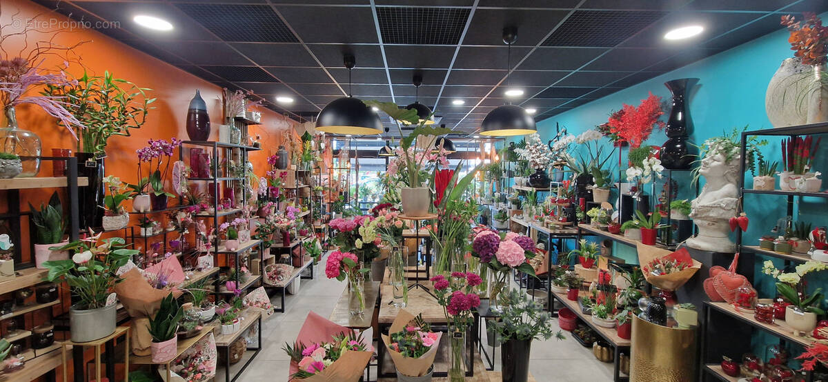 Commerce à COURNON-D&#039;AUVERGNE