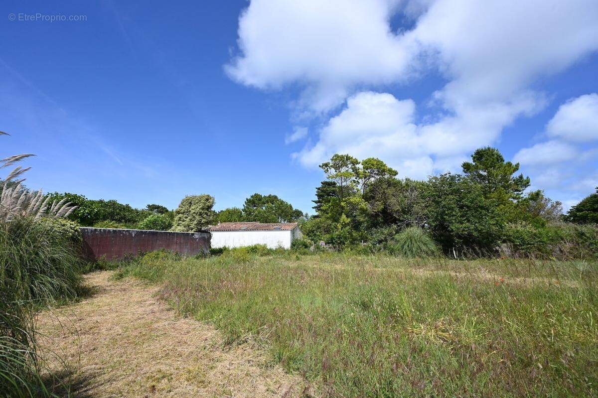 Terrain à LES PORTES-EN-RE