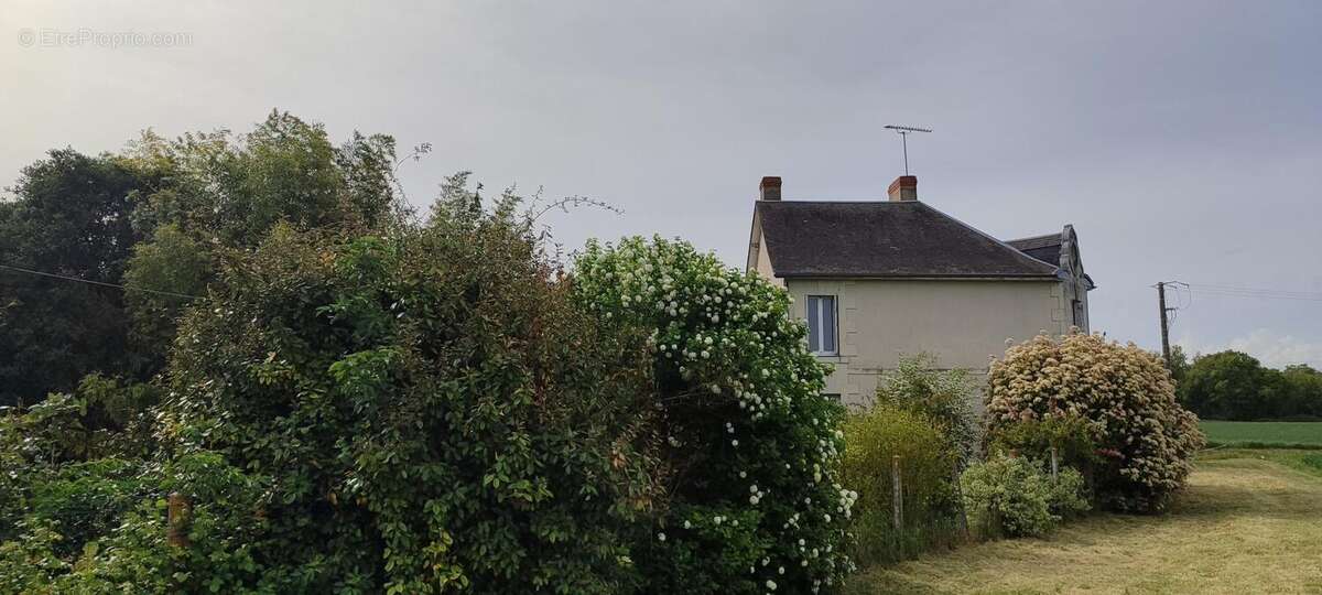 Maison 172 m² à Messeme  - photo 5