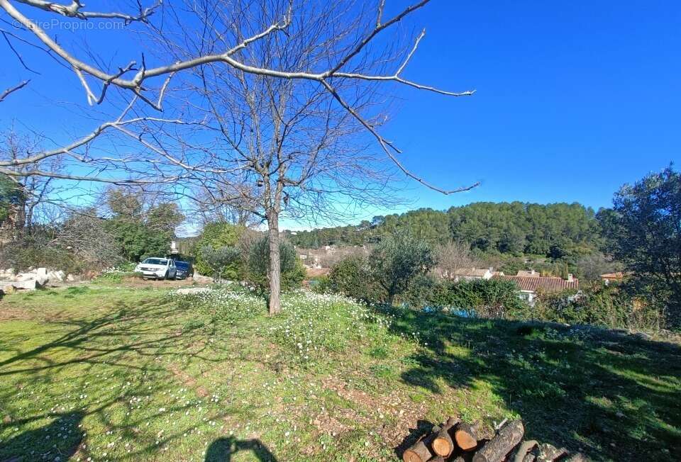Terrain à LE THORONET