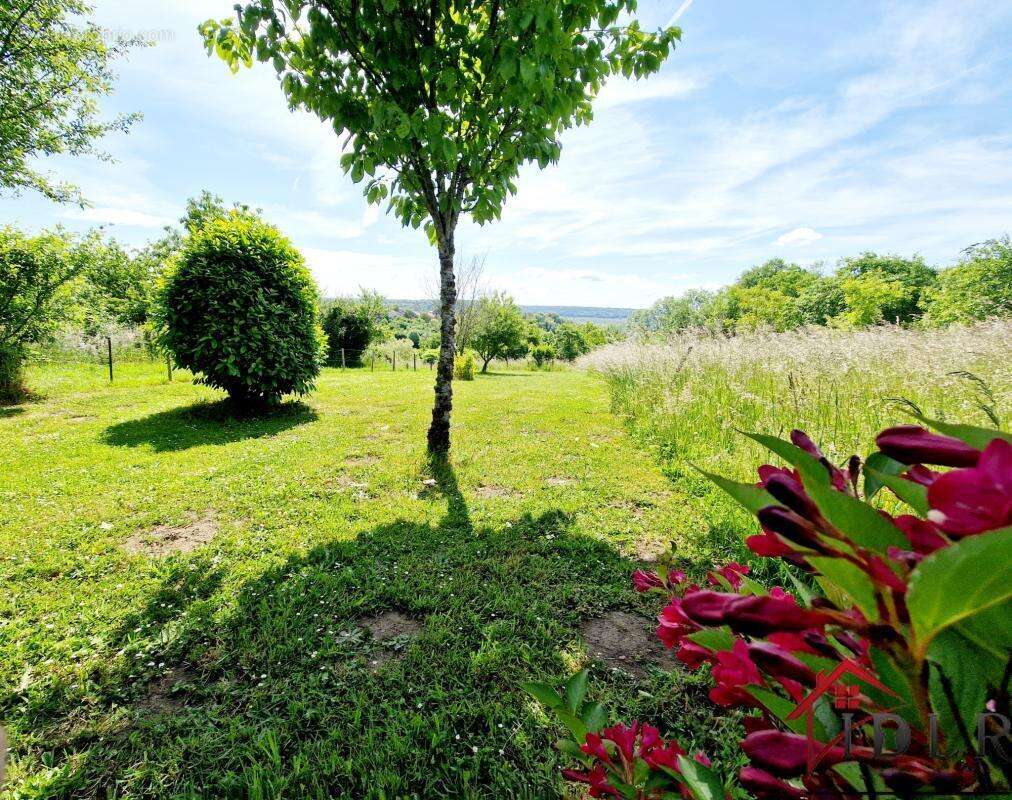 Maison à TERRE-NATALE