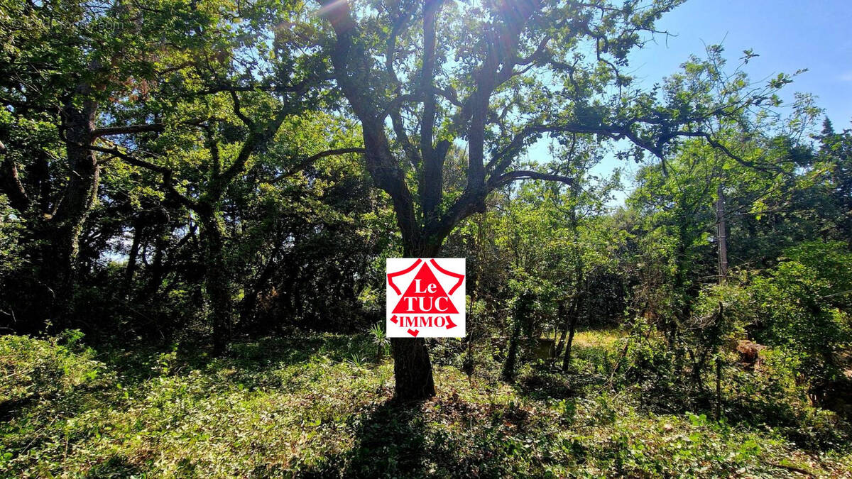 Maison à LA BAUME-DE-TRANSIT