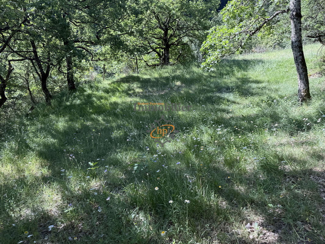 Vente Mazet Versols et Lapeyre, 1,25 hectares de terrains - photo 16