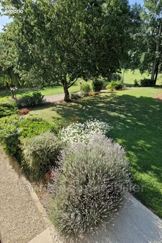 Maison 9 pièces 194 m² à vendre à Tonneins (47400) - photo 3