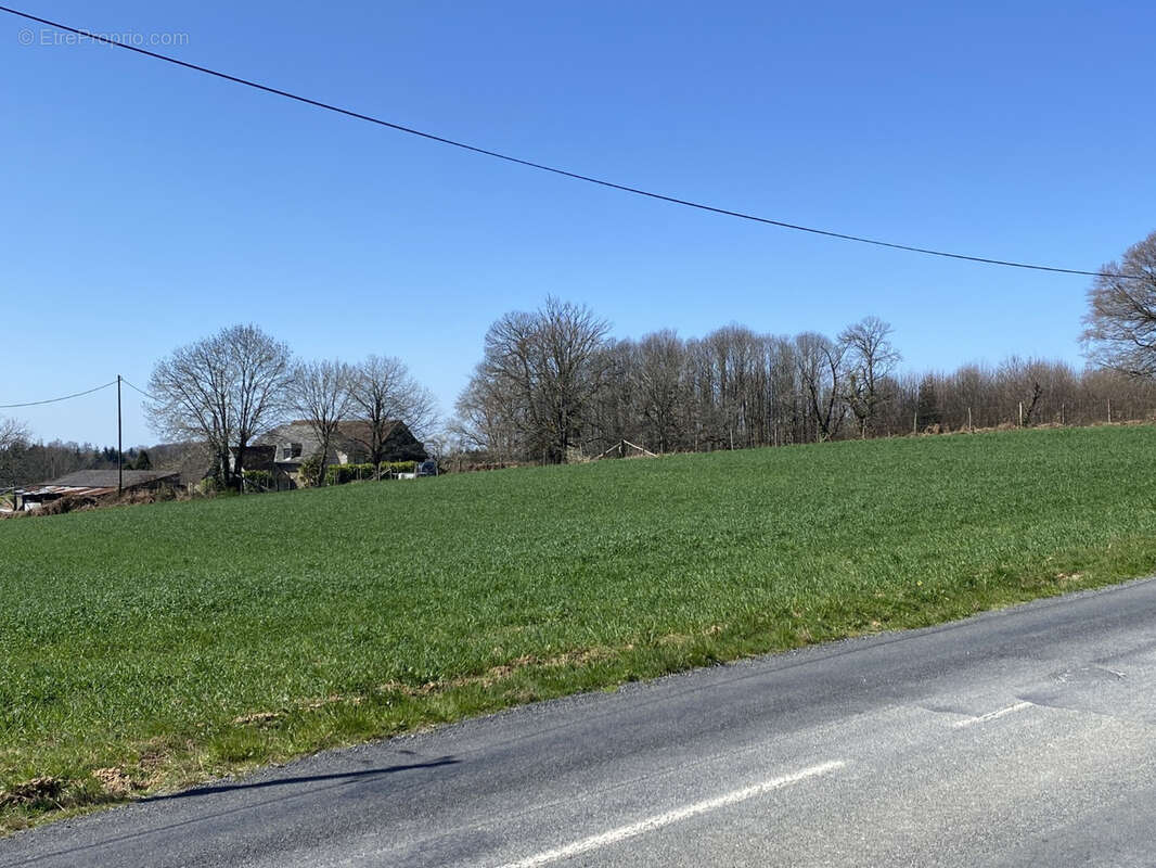 Terrain à SAINT-SORNIN-LAVOLPS
