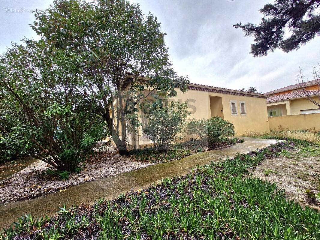 Maison à FRONTIGNAN