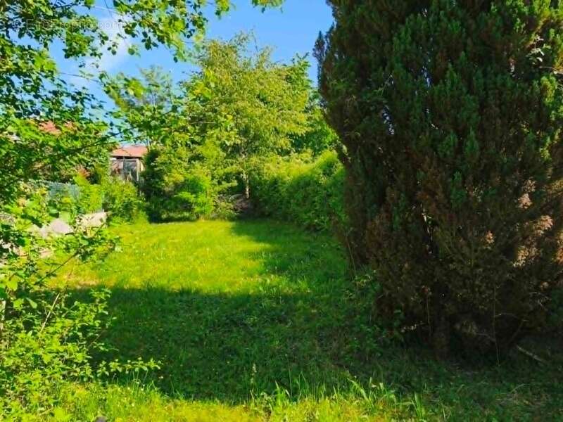 Maison à ORCHAMPS