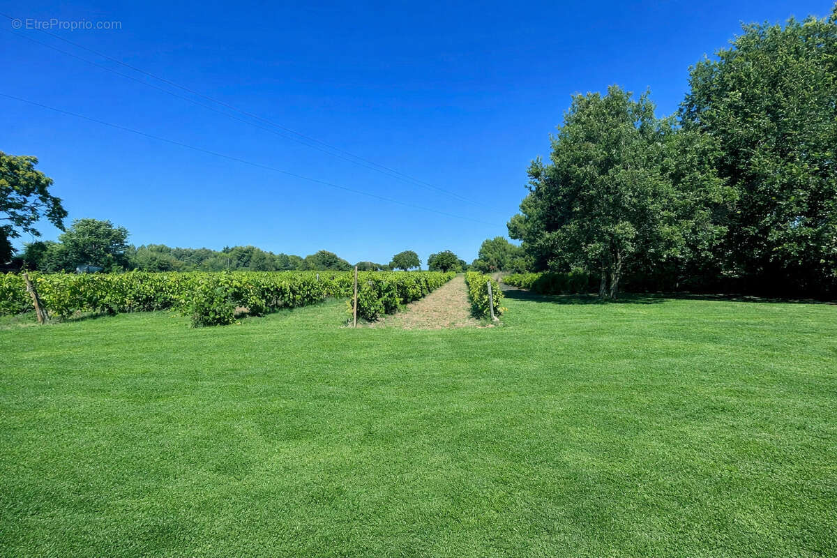 Maison à VAUX-SUR-MER