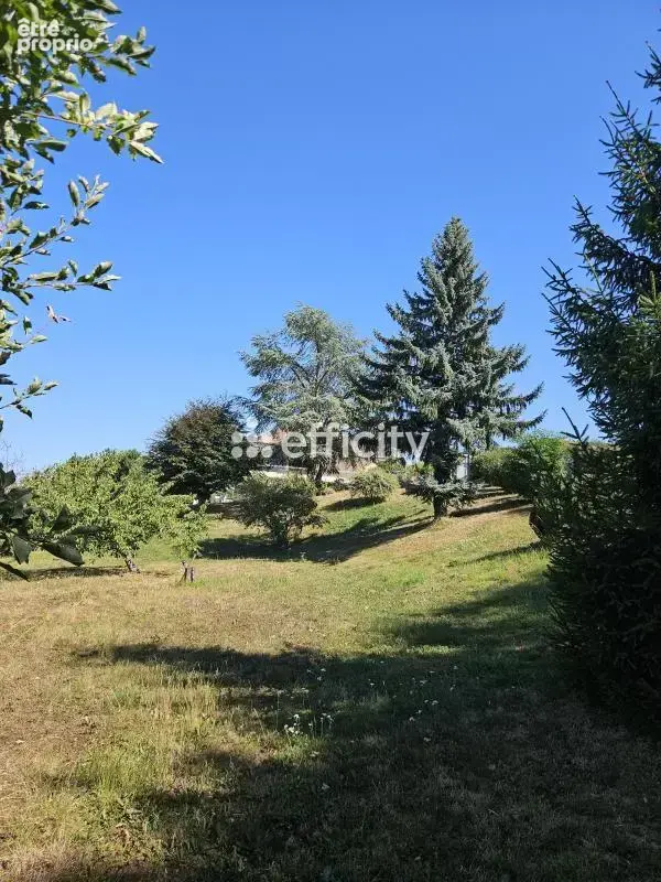 Maison 8 pièces 295 m² à vendre à Oeuilly (51480) - photo 14