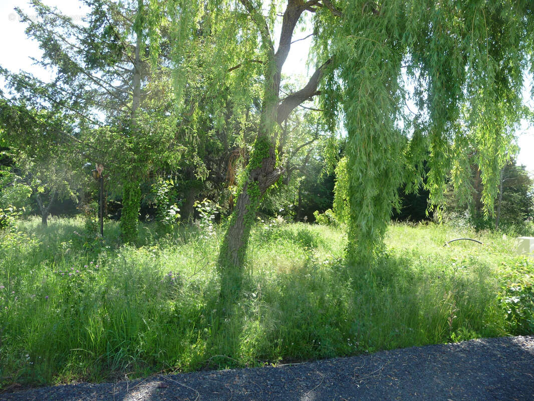 Terrain à SAVIGNEUX
