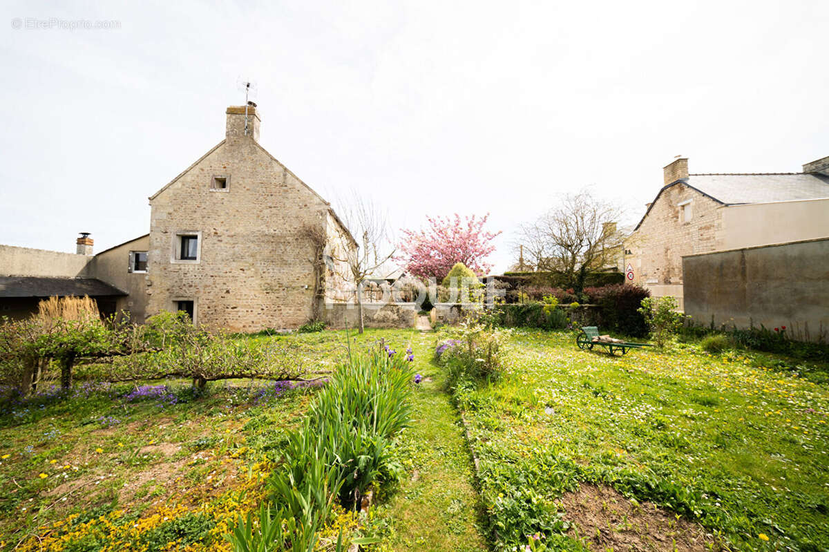 Maison à BARBERY