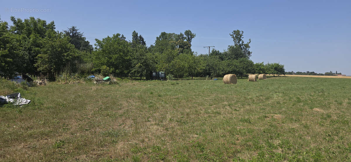 Terrain à VILLEBEON