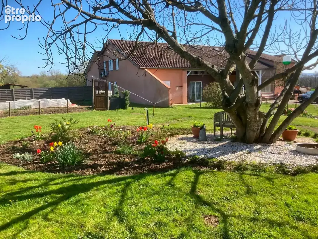 Maison 350 m² à Damazan  - photo 3