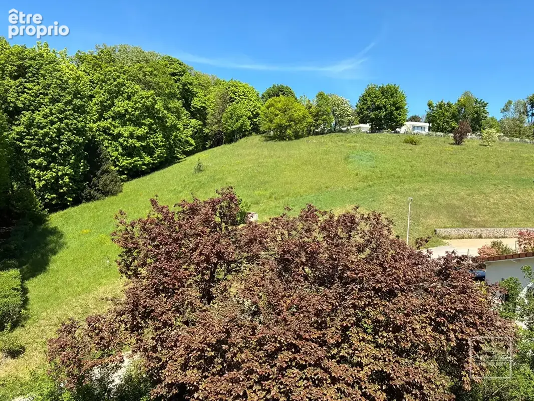 Saint Didier au Mont d'Or, Appartement T2 de 45.66 m²  + combles aménageables - photo 9
