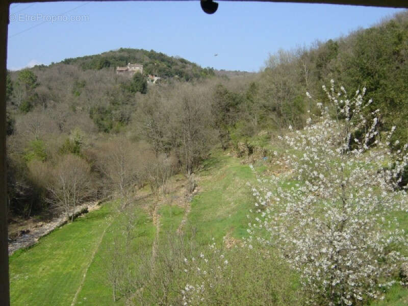Mas du 18e de 500 m2 avec 6 appartements, sur 2 hectares - photo 15