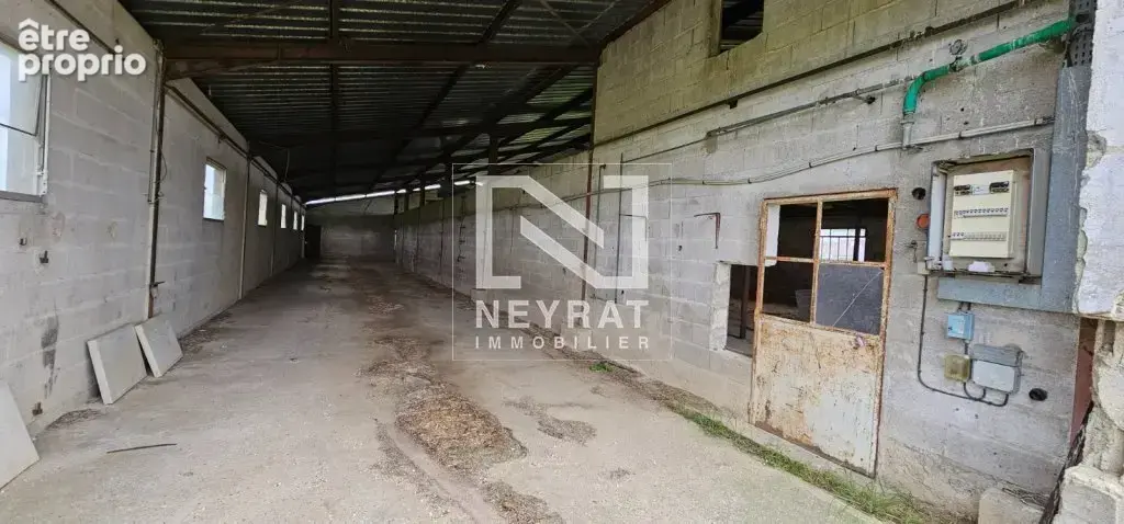 Nouveaute neyrat immobilier - photo 14