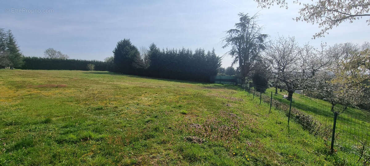 Terrain à VARENNE-SAINT-GERMAIN