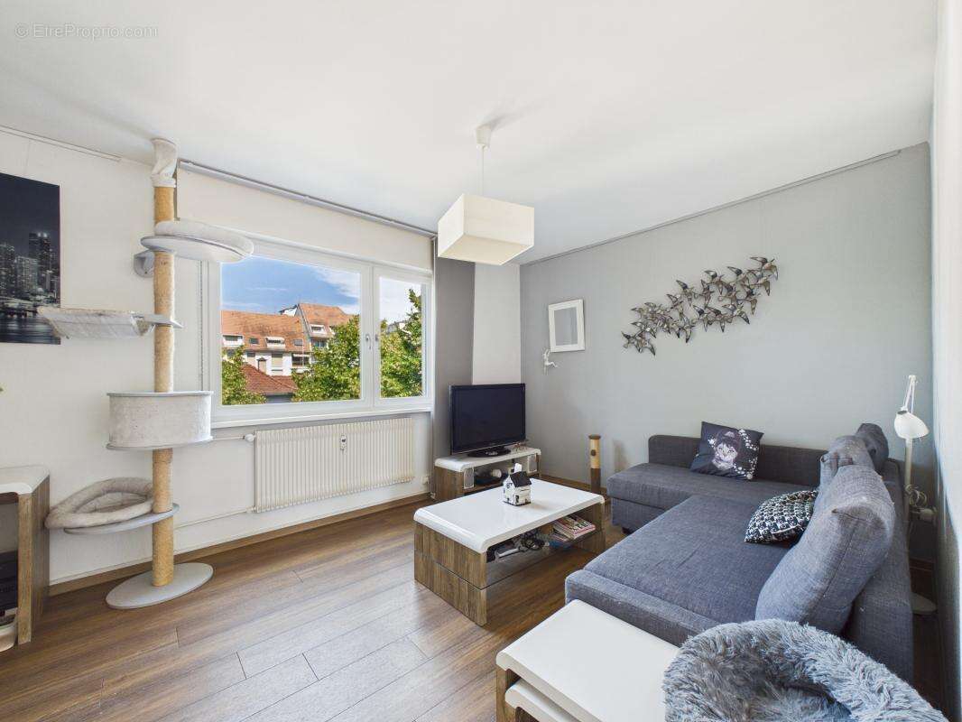 Rue de Bale - 4 pièces - 73m²- Coeur du Neudorf - Cave - Terrasse - photo 14
