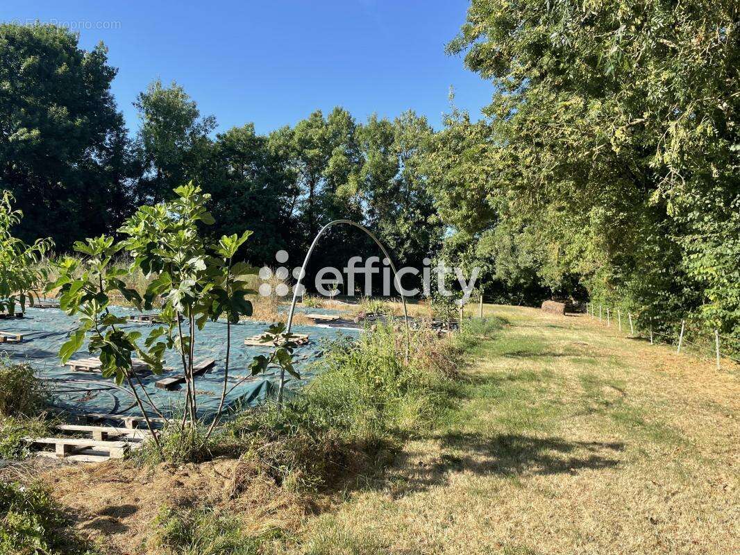 Maison à AUGE-SAINT-MEDARD