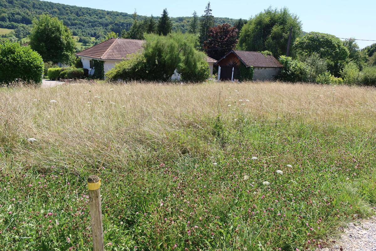 Terrain à RUREY