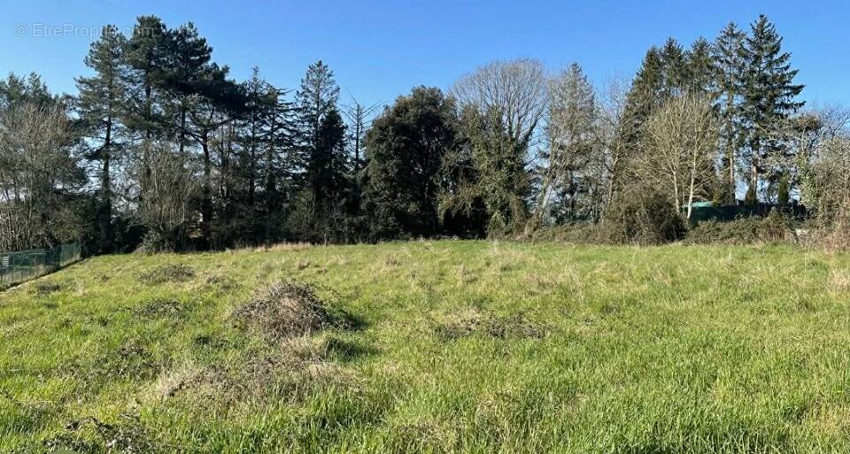 Terrain à LIMEIL-BREVANNES