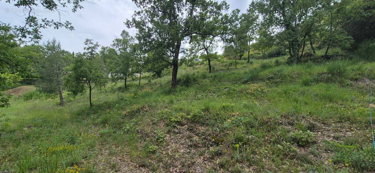 Terrain à SAINT-PAUL-EN-FORET